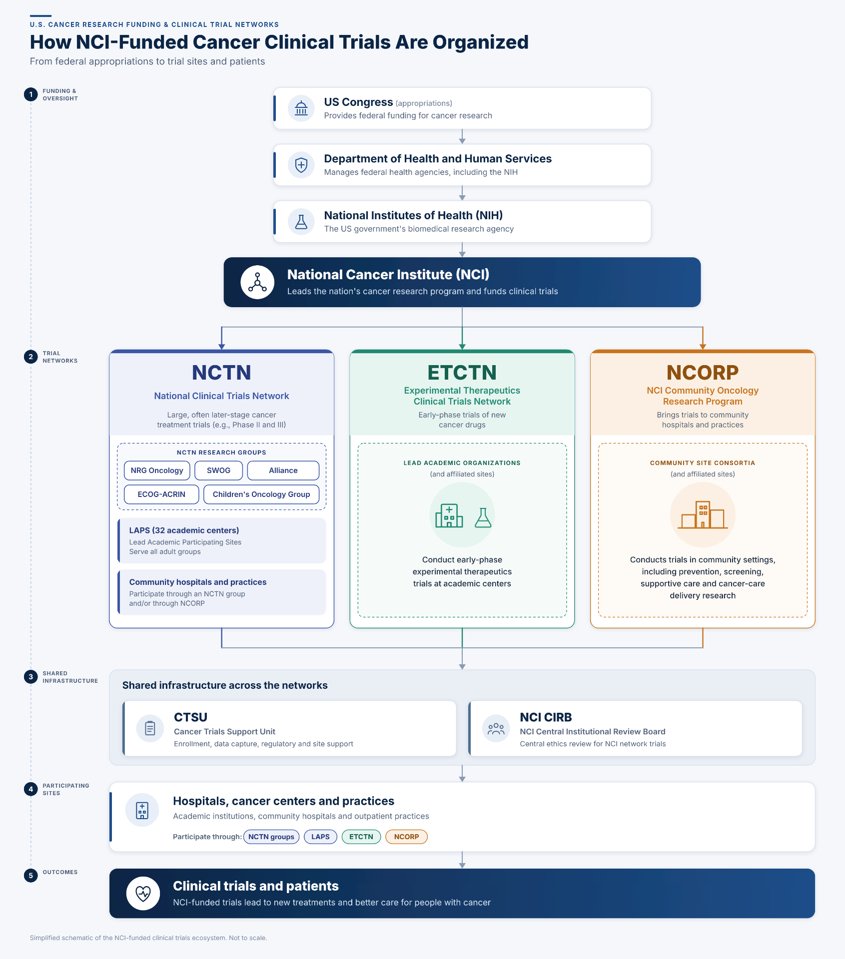 Infographic showing how NCI-funded cancer clinical trials are organized, from federal appropriations through NCI to the NCTN, ETCTN and NCORP networks, shared CTSU and NCI CIRB infrastructure, hospitals and cancer centers, and clinical trials and patients